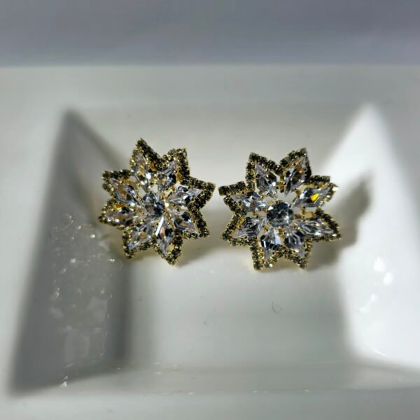 Sparkling Snowflake Zircon Stud Earrings(j6)